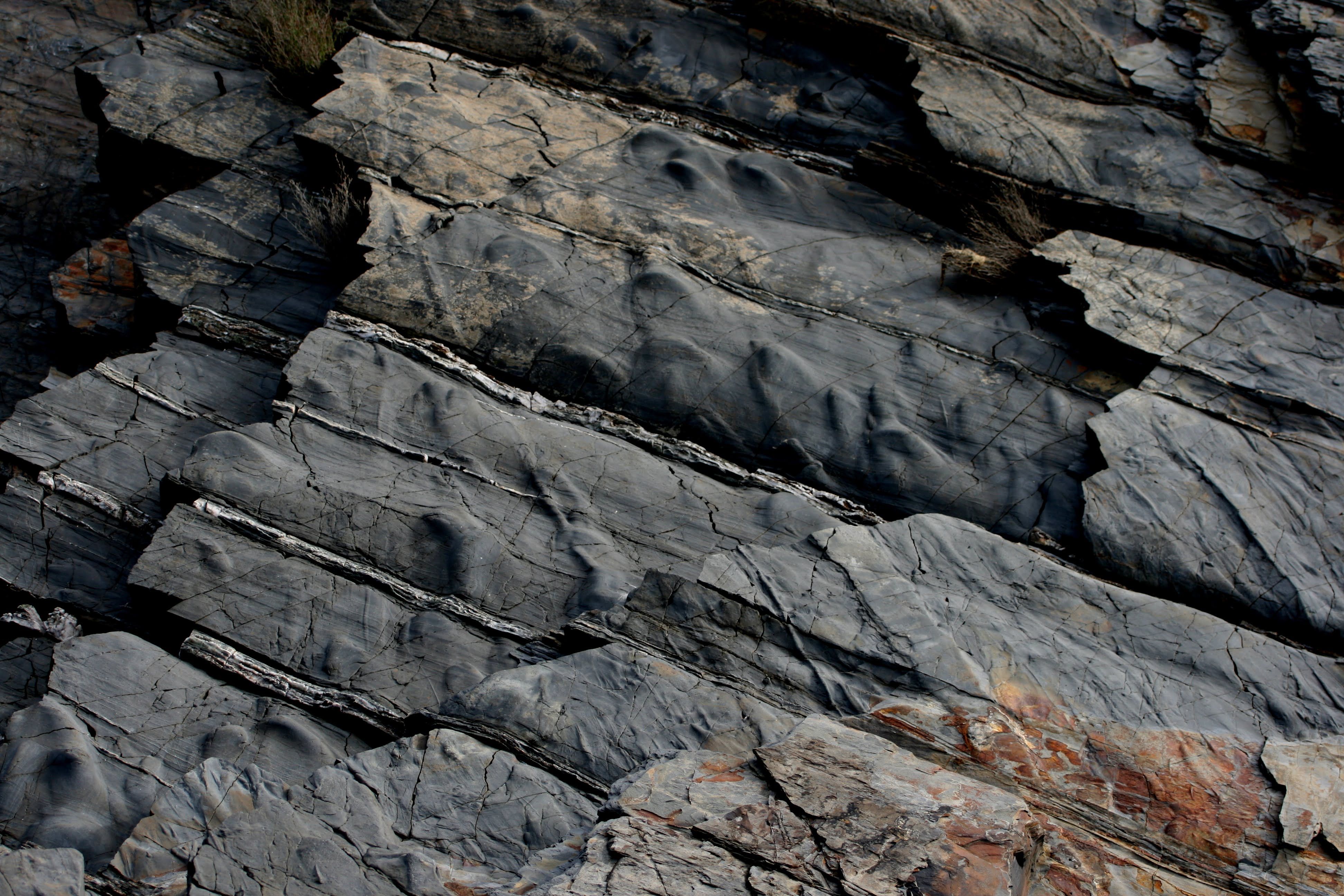 Detailed view of layered and weathered stone formations outdoors with unique textures.