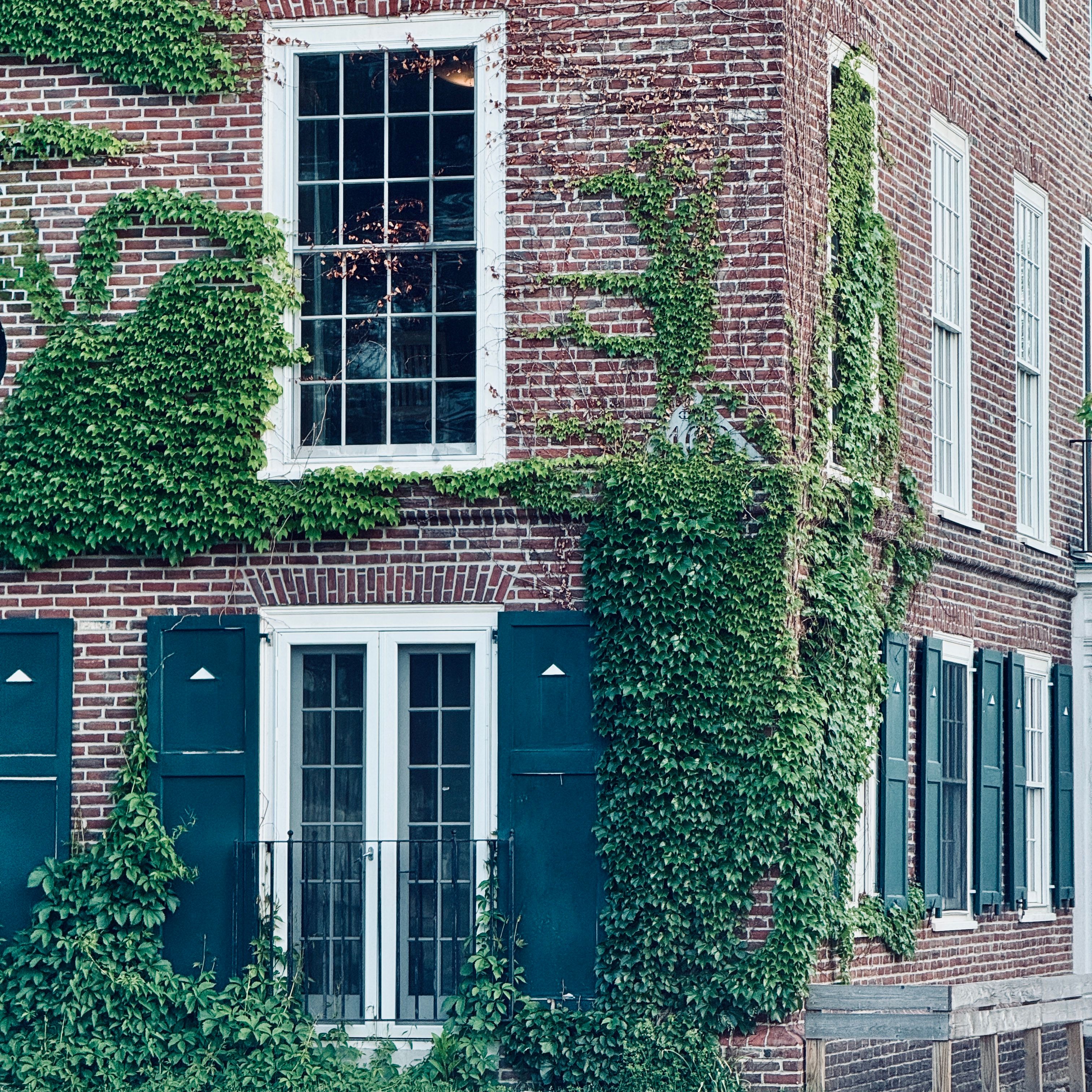 Brick house with ivy and shuttered windows — photo by Teju on Pexels