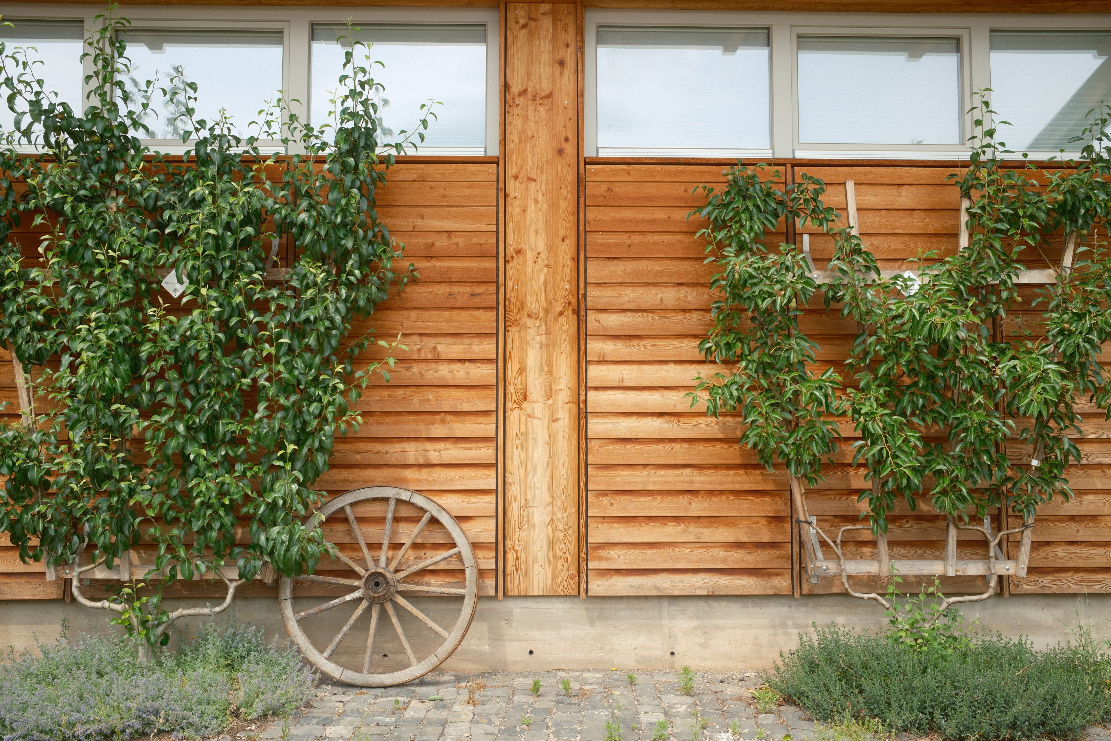 Gartenbank aus Holz mit Stauraum — Empfehlung für Bank mit Stauraum