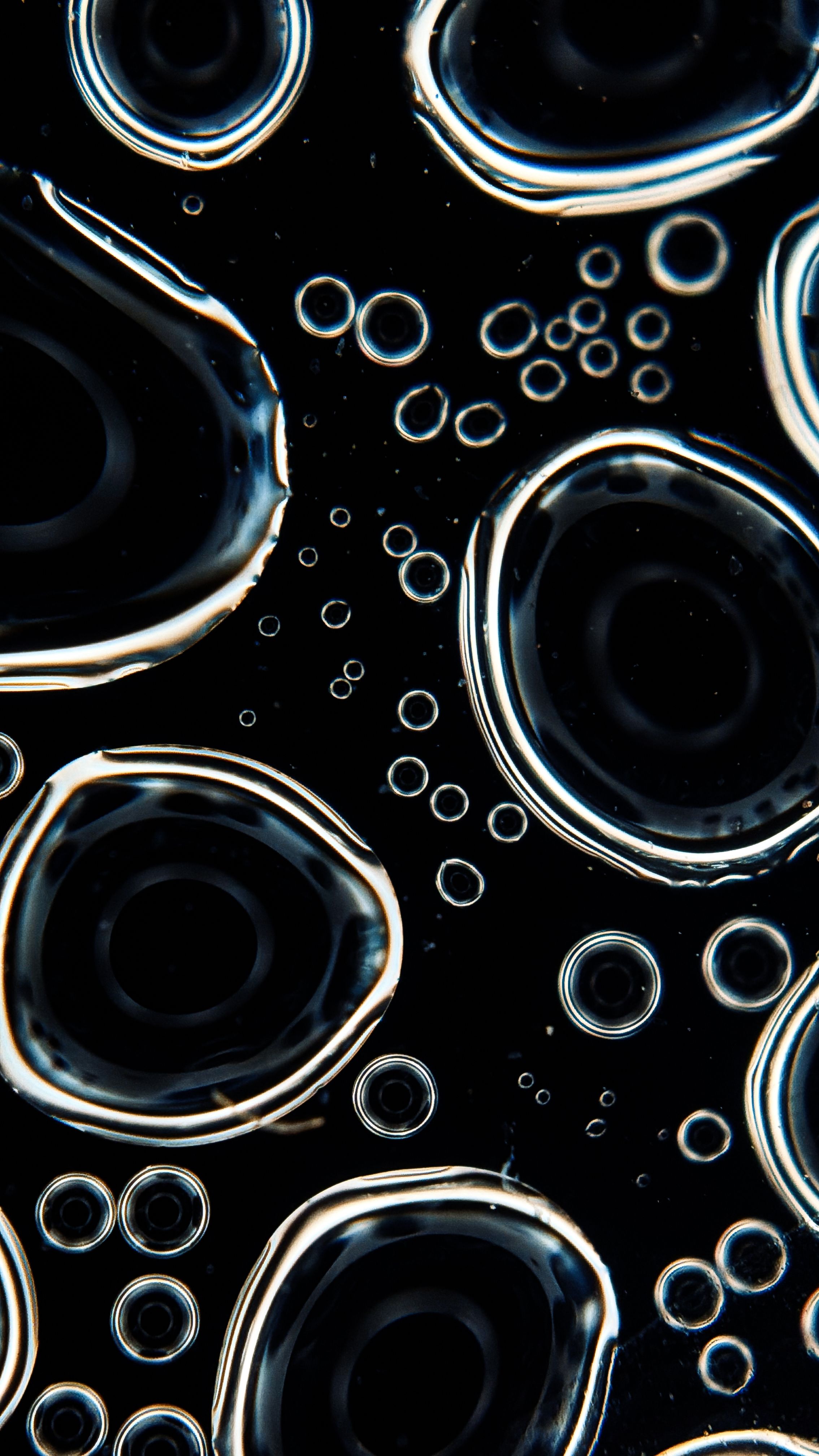 How do investors compare hydrogen, batteries, and grid infrastructure opportunities?