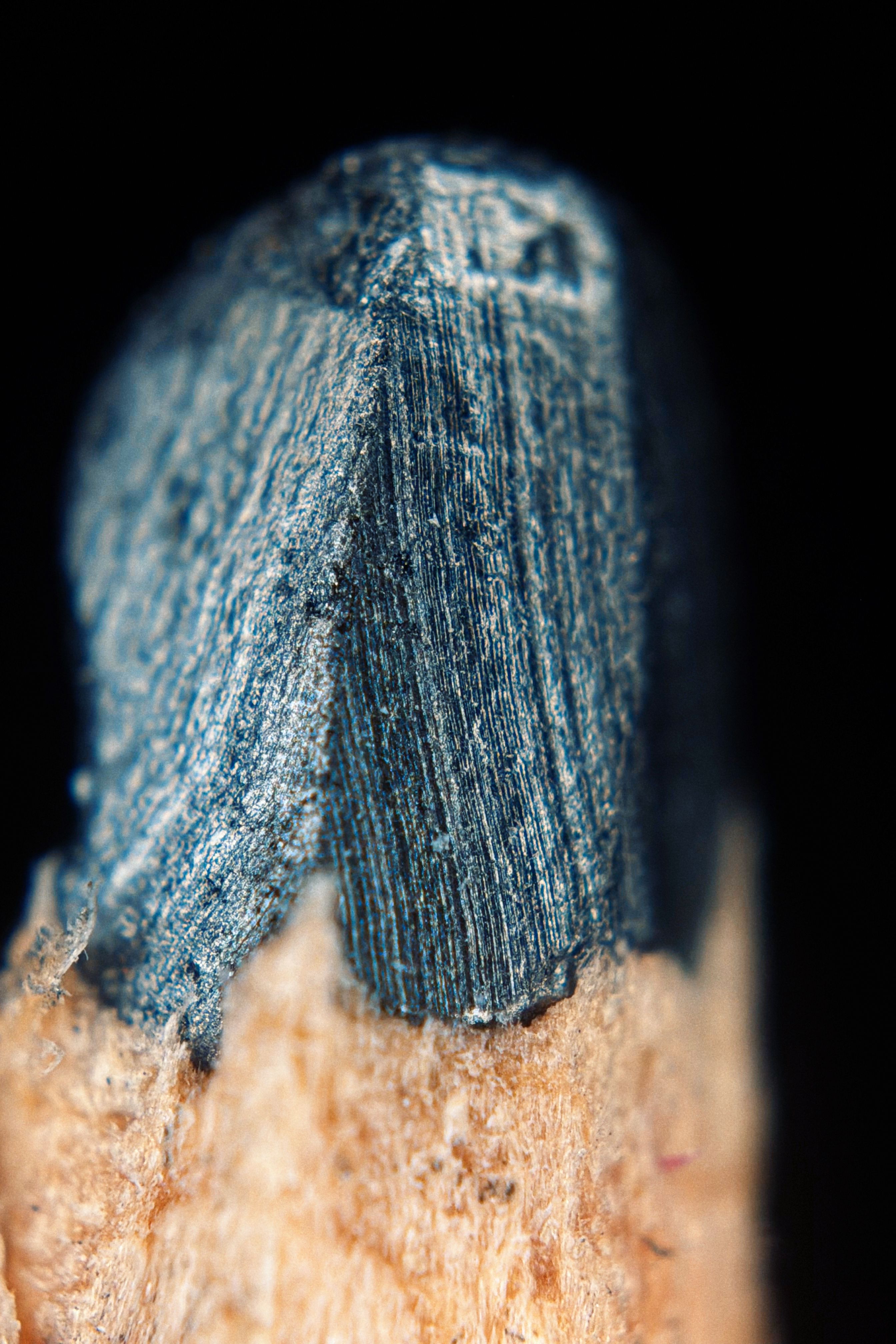 Detailed macro shot of a sharpened pencil tip, showcasing texture.