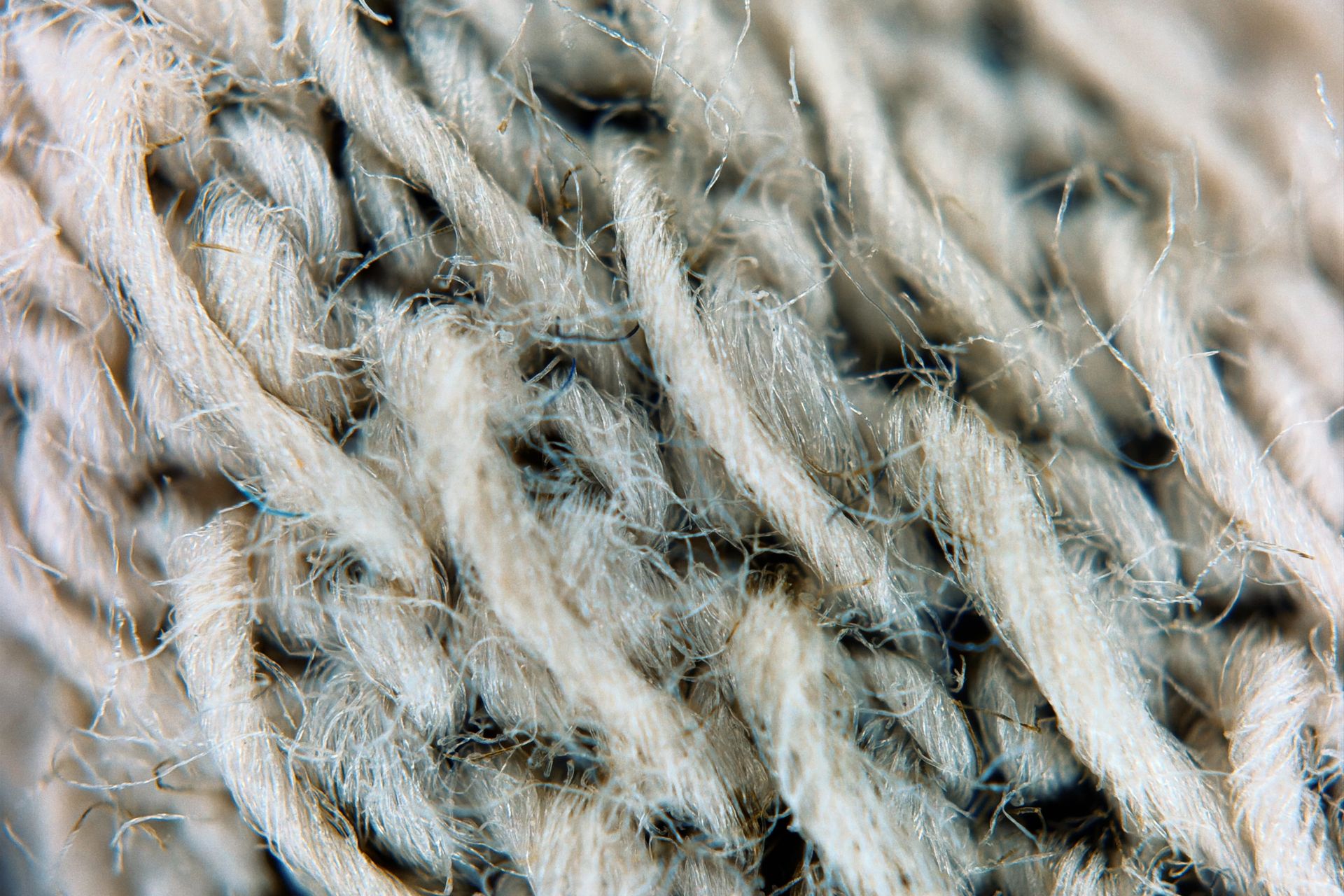 Woven Labels detail 2