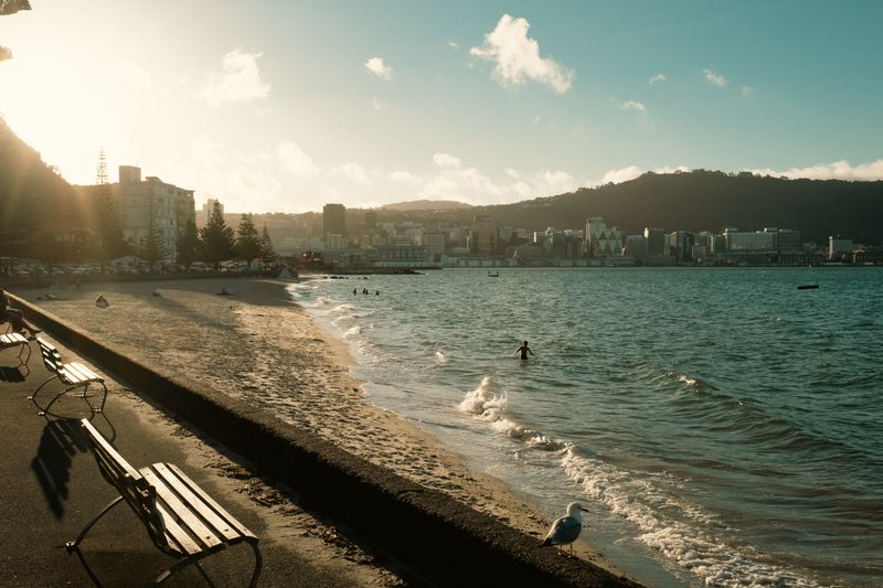 Sunset over the Wellington city beachfront at Oriental Bay