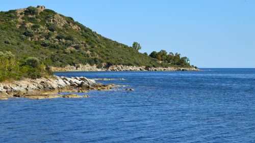 Free Beautiful coastal scenery of Saint-Florent in Corsica, France with clear blue waters and lush green hills. Stock Photo