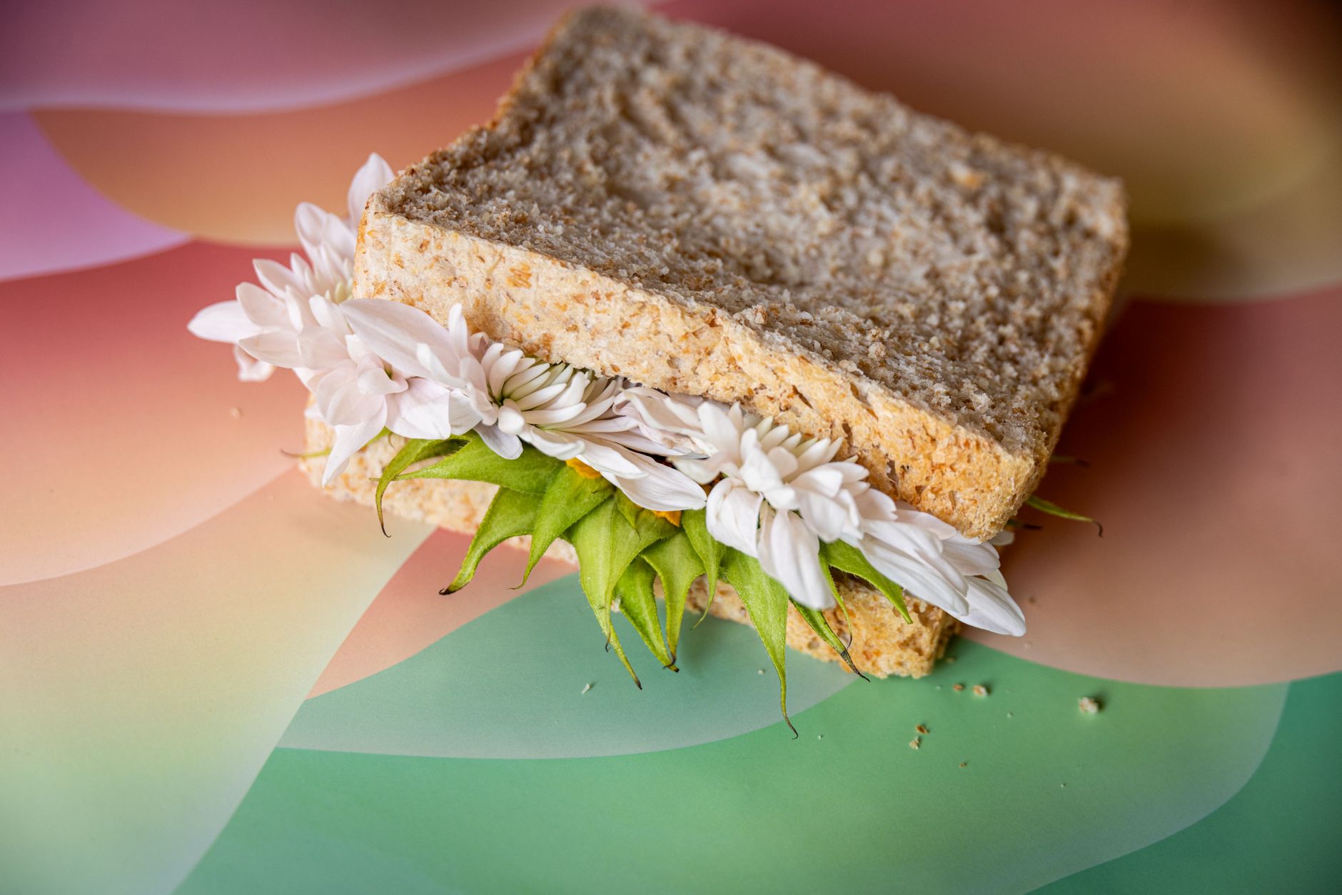 Prepared Rachel sandwich on a plate with coleslaw side