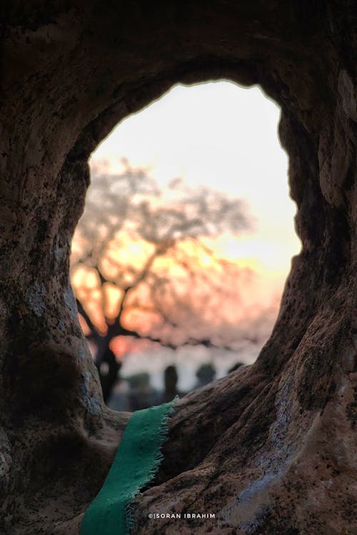 Fotos de stock gratuitas de cementerio