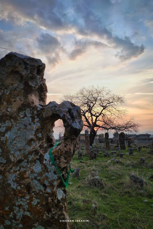 Fotos de stock gratuitas de cementerio