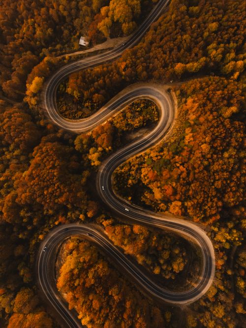 Free Aerial shot of a winding road through vibrant autumn foliage, showcasing nature's beauty from above. Stock Photo