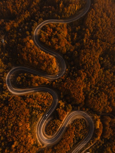 Stunning aerial photograph capturing a winding road through vibrant autumn foliage in a dense forest.