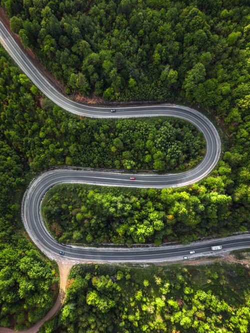 Free Aerial view of a winding road cutting through dense green forest, capturing natural beauty and adventure. Stock Photo