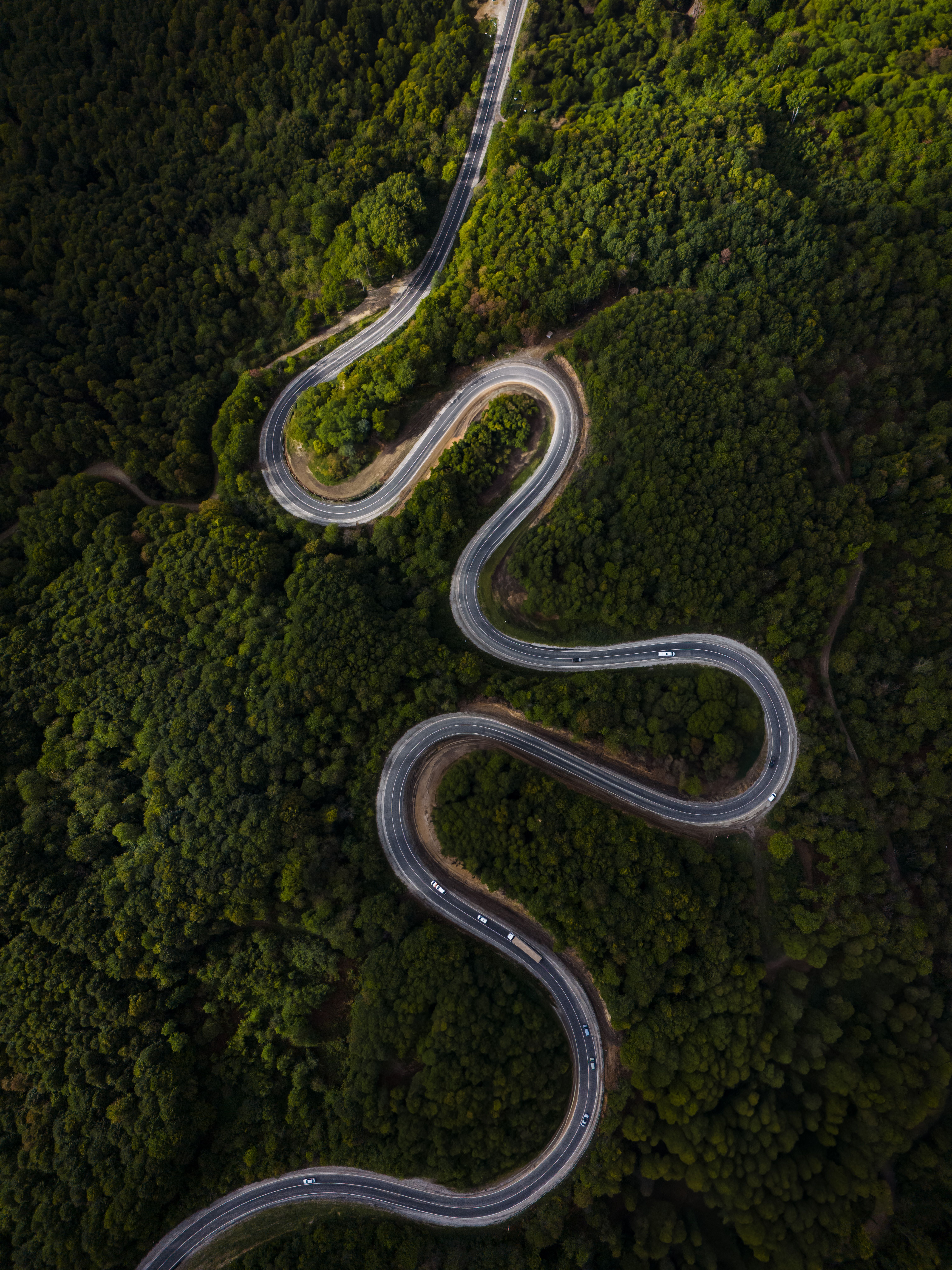 Discover the captivating aerial view of a winding road traversing a lush green forest.
