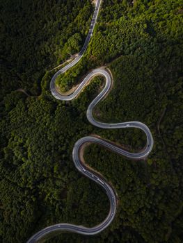 Discover the captivating aerial view of a winding road traversing a lush green forest.