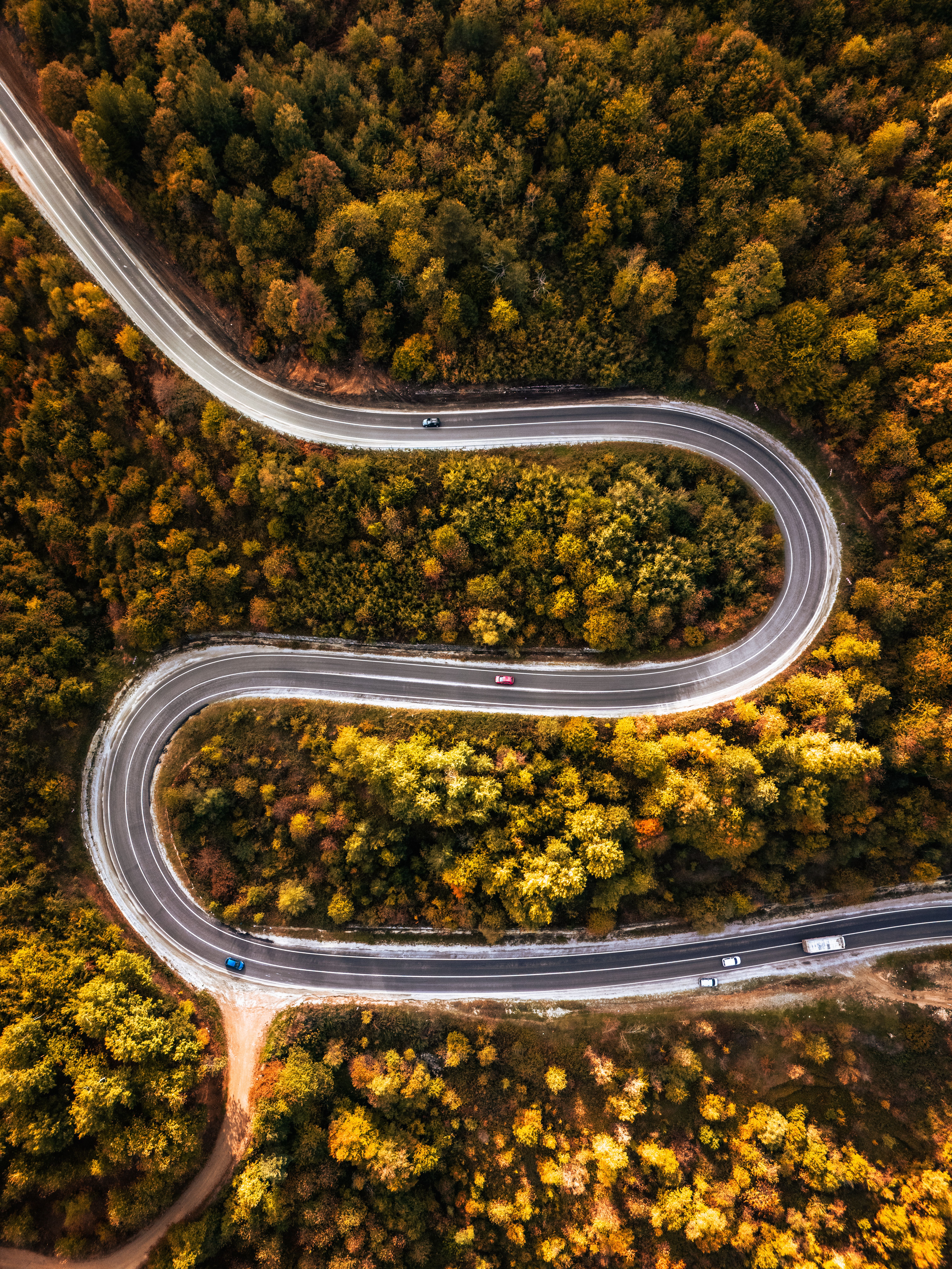 Stunning aerial shot of a winding road through vibrant autumn forest landscape.