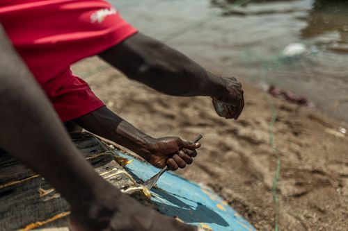 Free Close-up of a fisherman's hands mending a net on a sandy beach, showcasing traditional craft and hard work. Stock Photo
