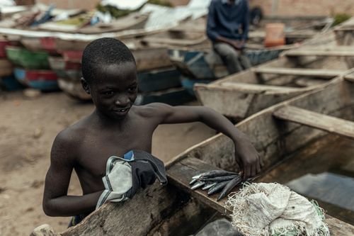 Free A young boy handling fish by wooden boats, depicting a local fishing scene. Stock Photo