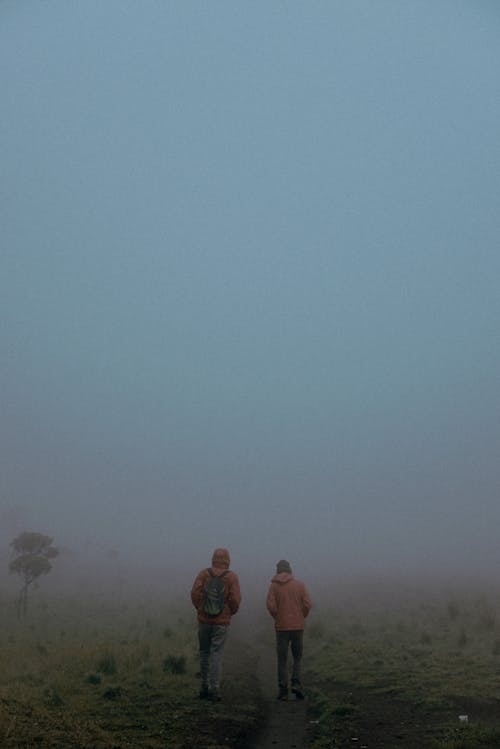 People Walking on Field During Foggy Morning