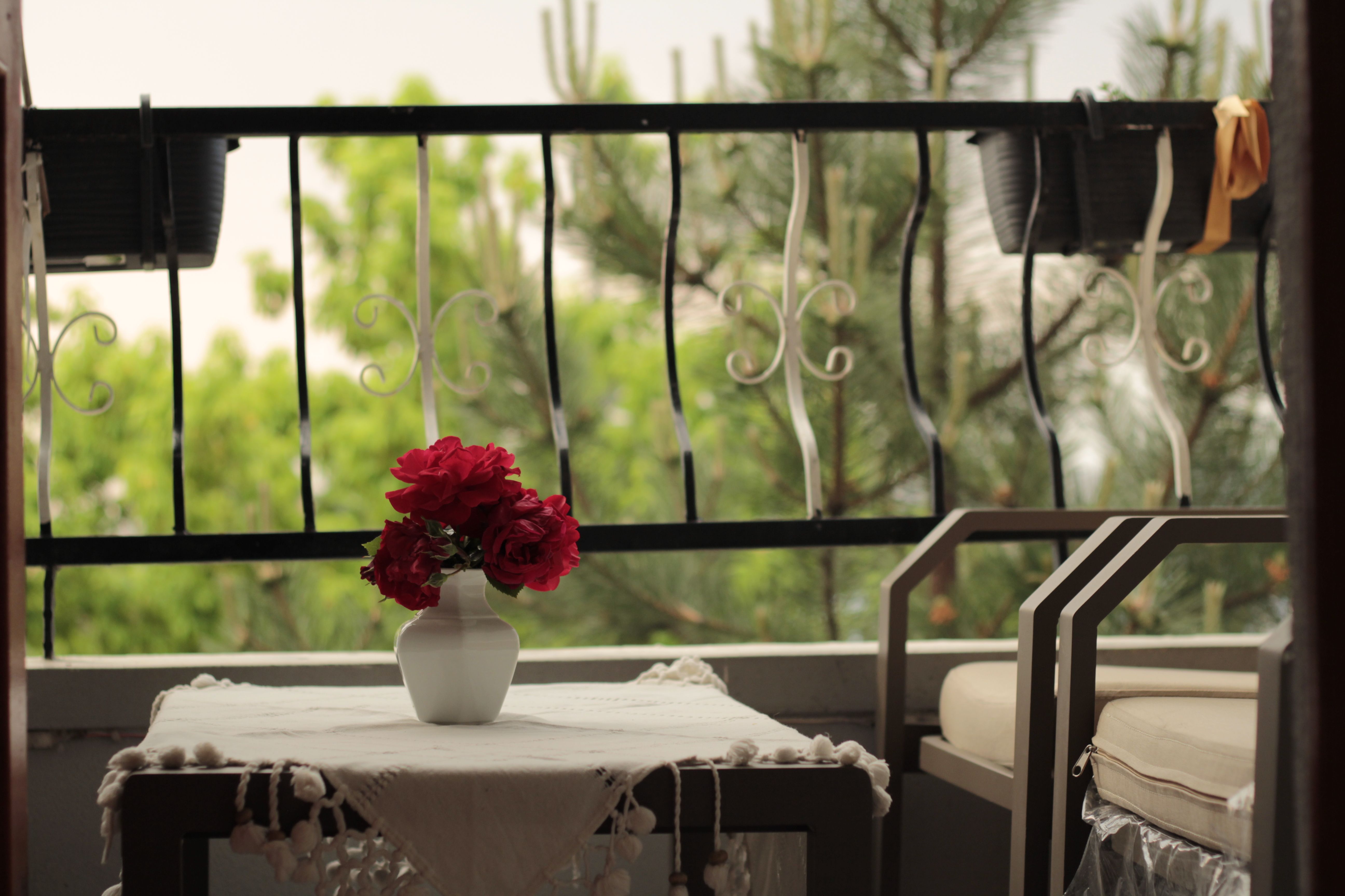 A serene balcony scene with red roses in Ankara, Türkiye, perfect for relaxation.