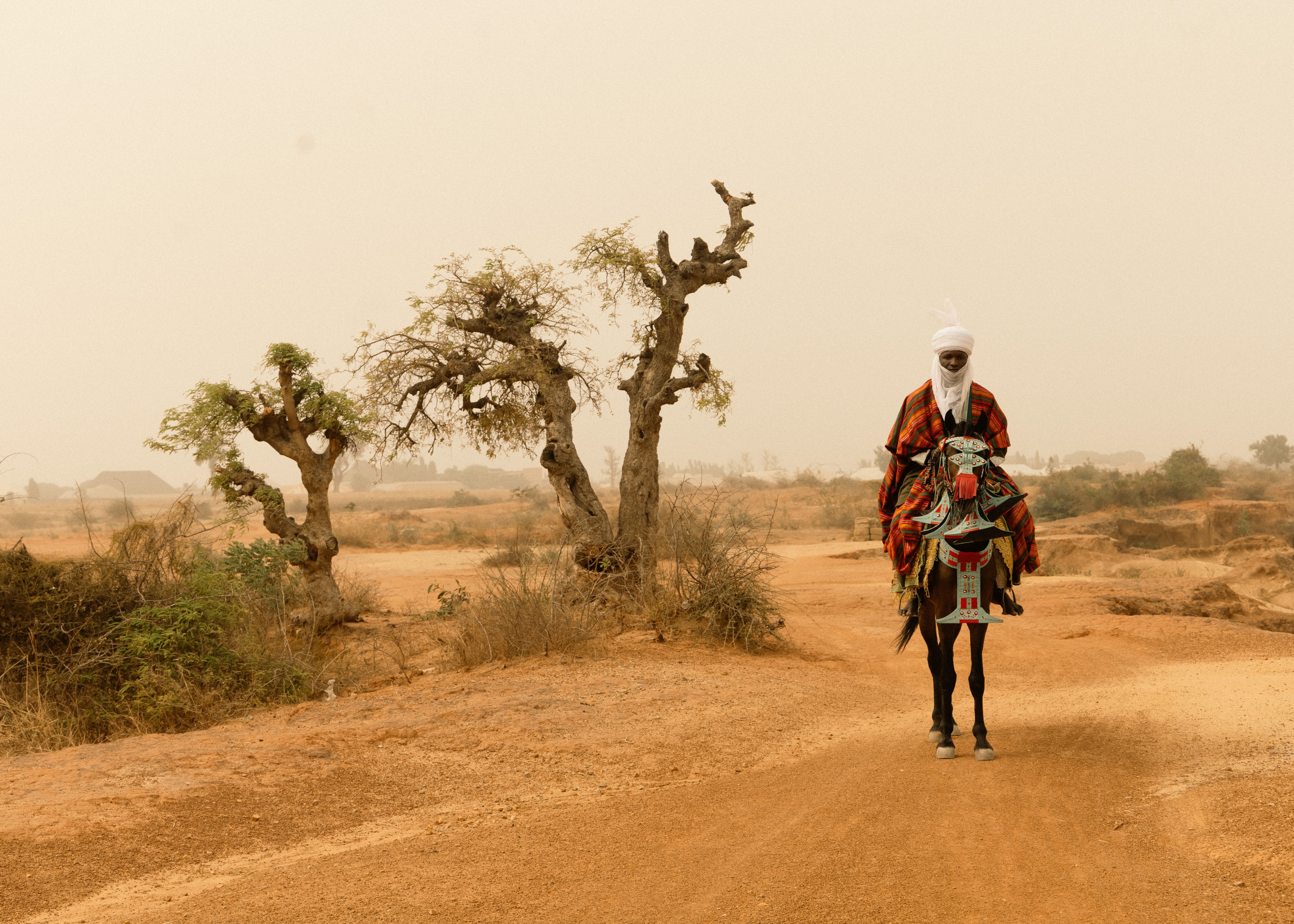 Desert rider on a decorated horse in arid landscape, Niger