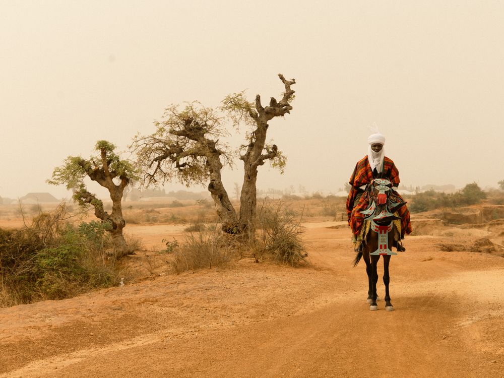 Desert rider on a decorated horse in arid landscape, Niger