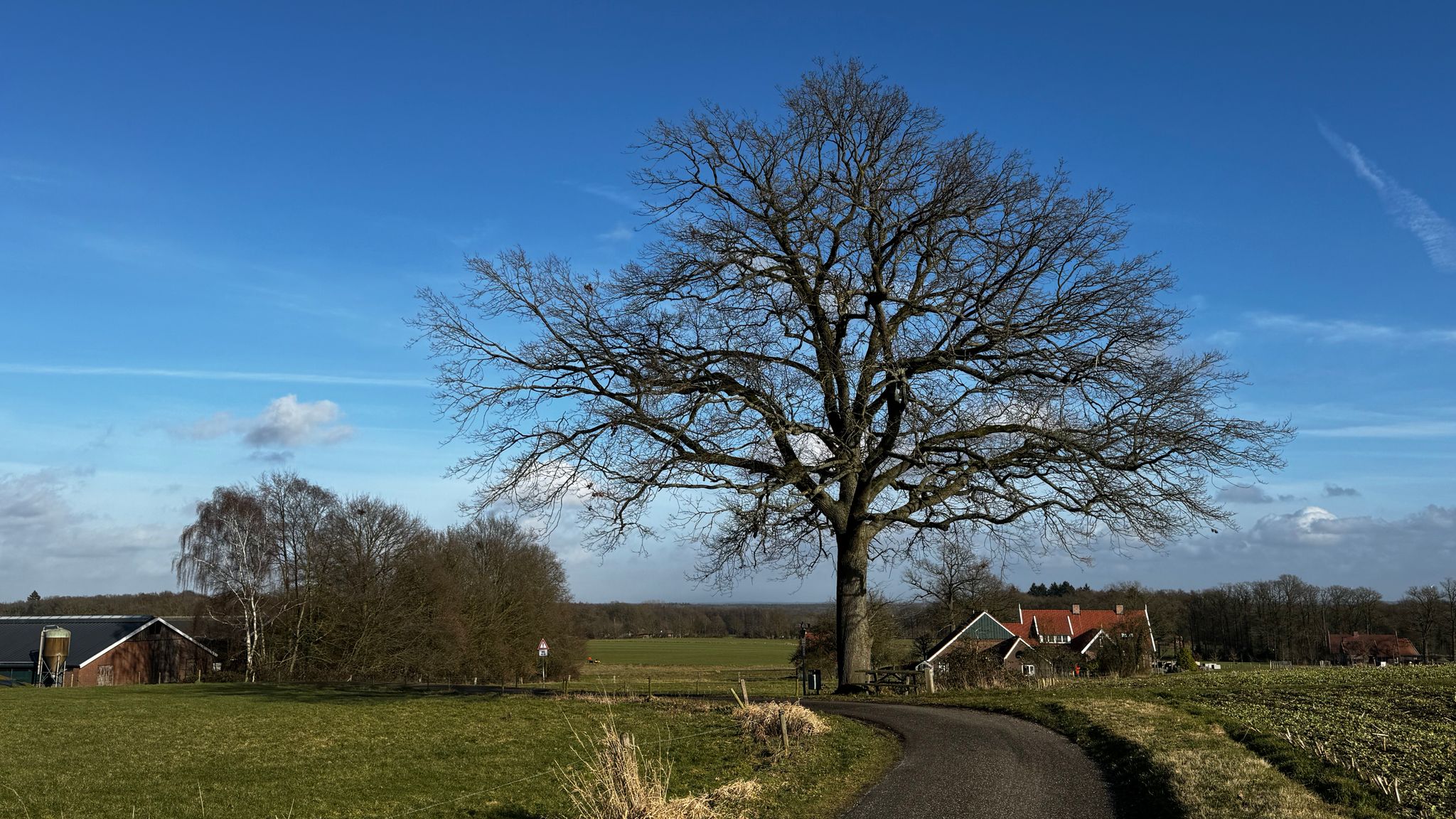 Zorgboerderij Leidsche Hoeven in Tricht wordt herbouwd
