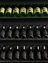 Elegant arrangement of Japanese sake bottles on display, featuring distinct labels.