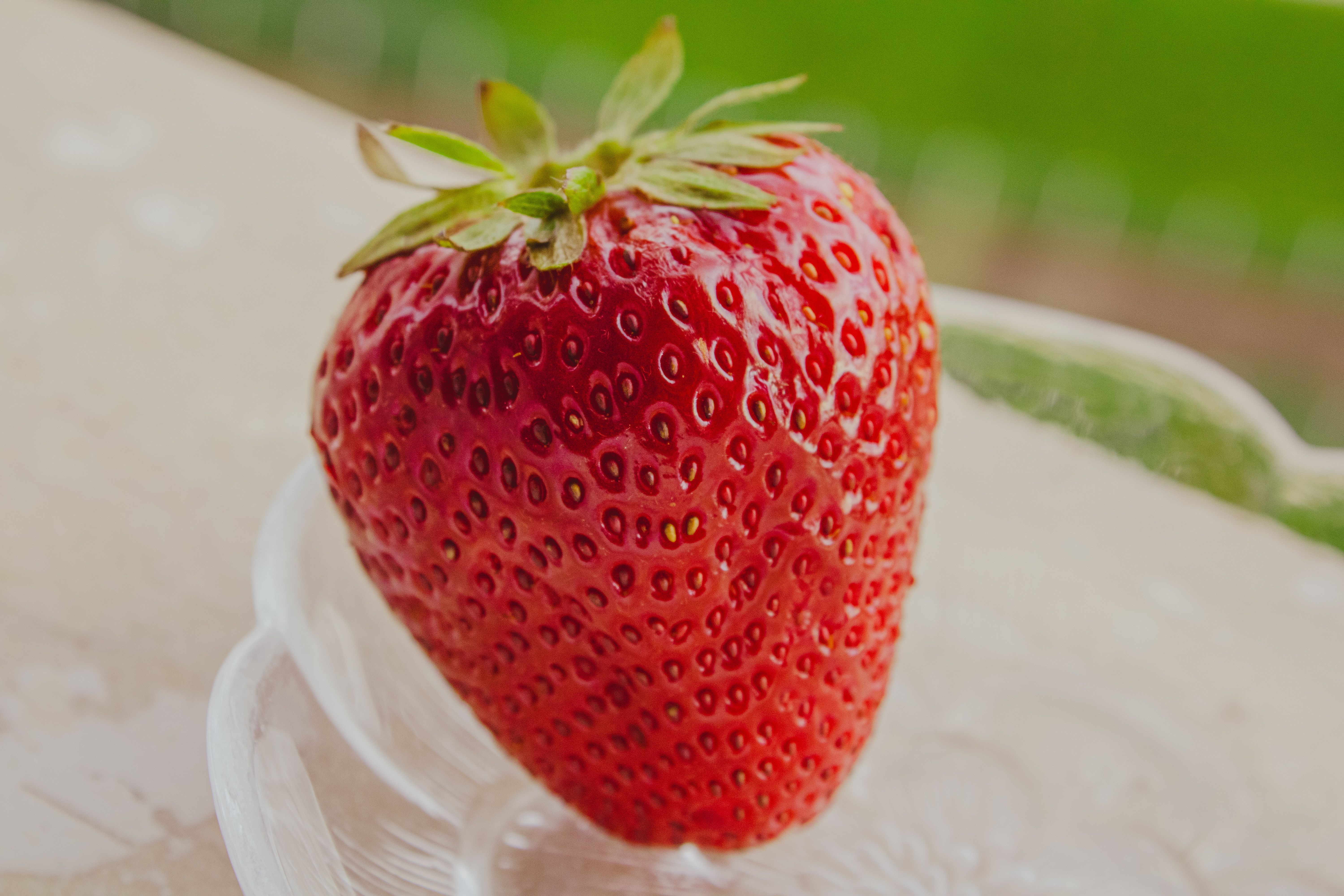 Vitamin C and Anti-Aging: What's Real, What's Hype, and What Actually Oxidizes