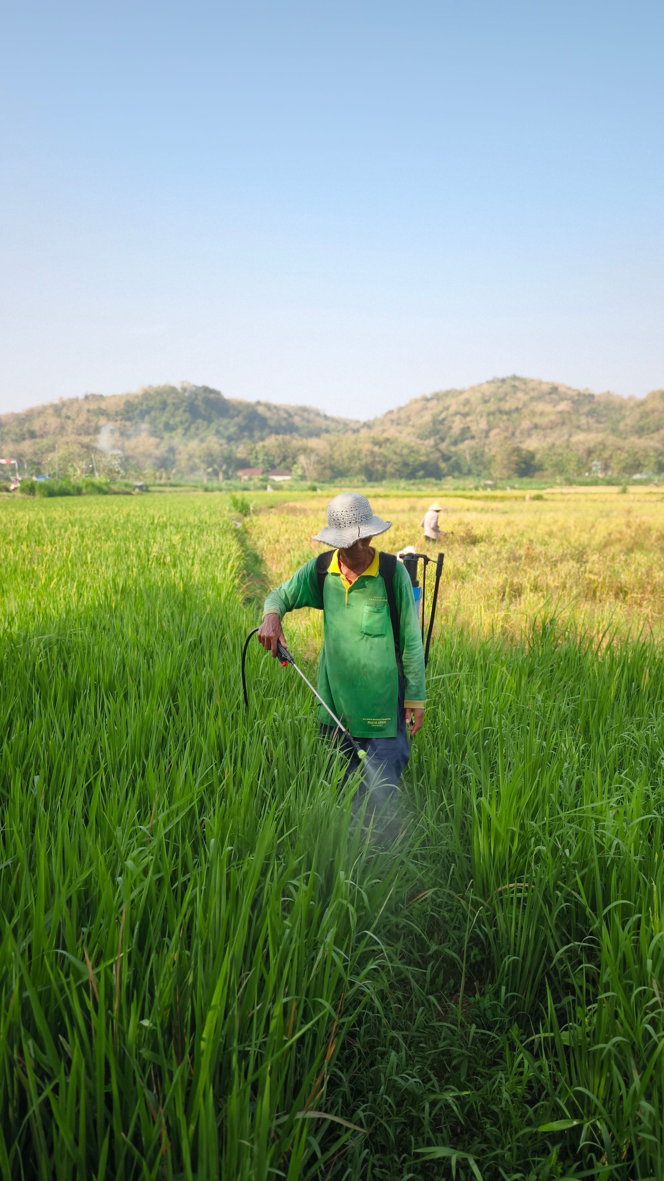 How are drones and robotics changing crop monitoring and spraying?