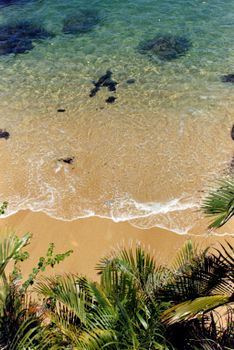 A tranquil aerial shot of a tropical beach with lush greenery and clear ocean waves.
