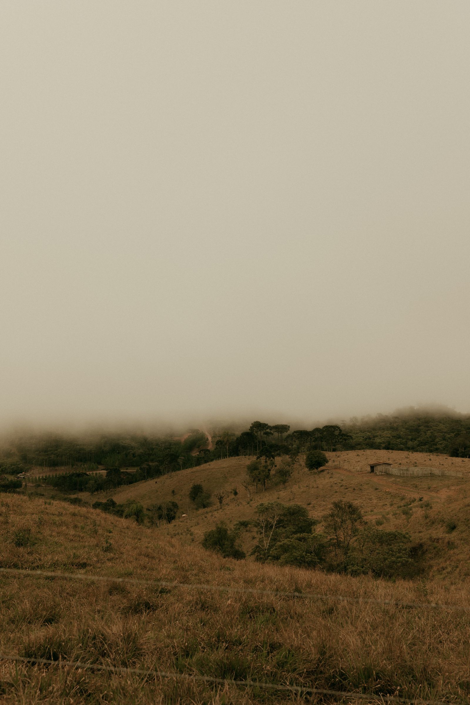 Serene Landscape with Rolling Hills and Pastures · Free Stock Photo