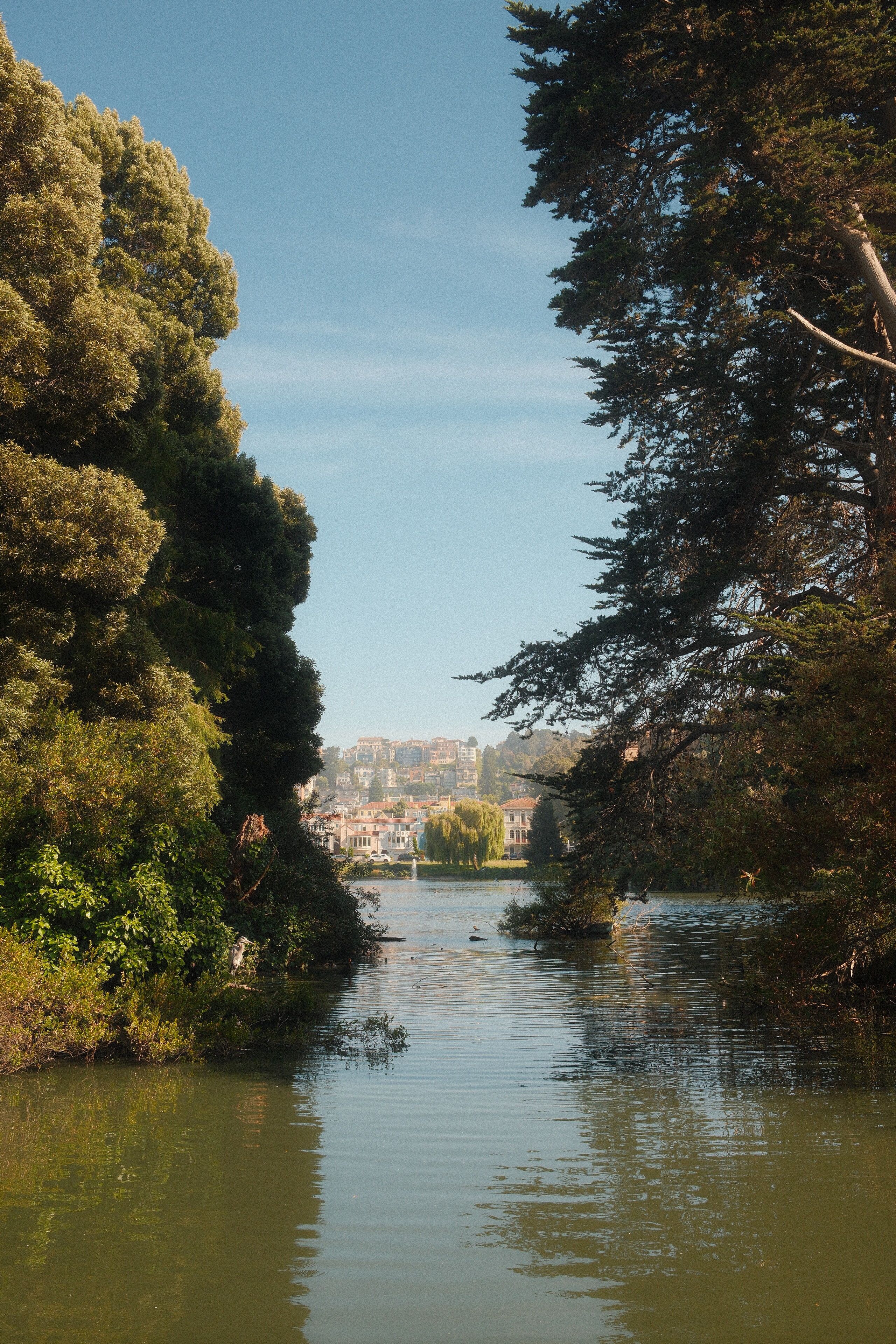 Lake Merced loop