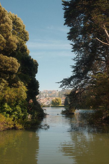 Lake Merced loop