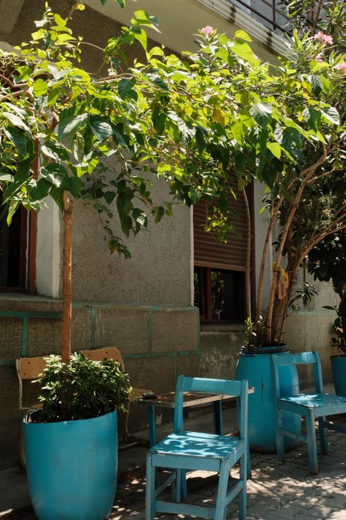 Free Inviting outdoor seating area with vibrant plants and blue furniture under warm sunlight. Stock Photo