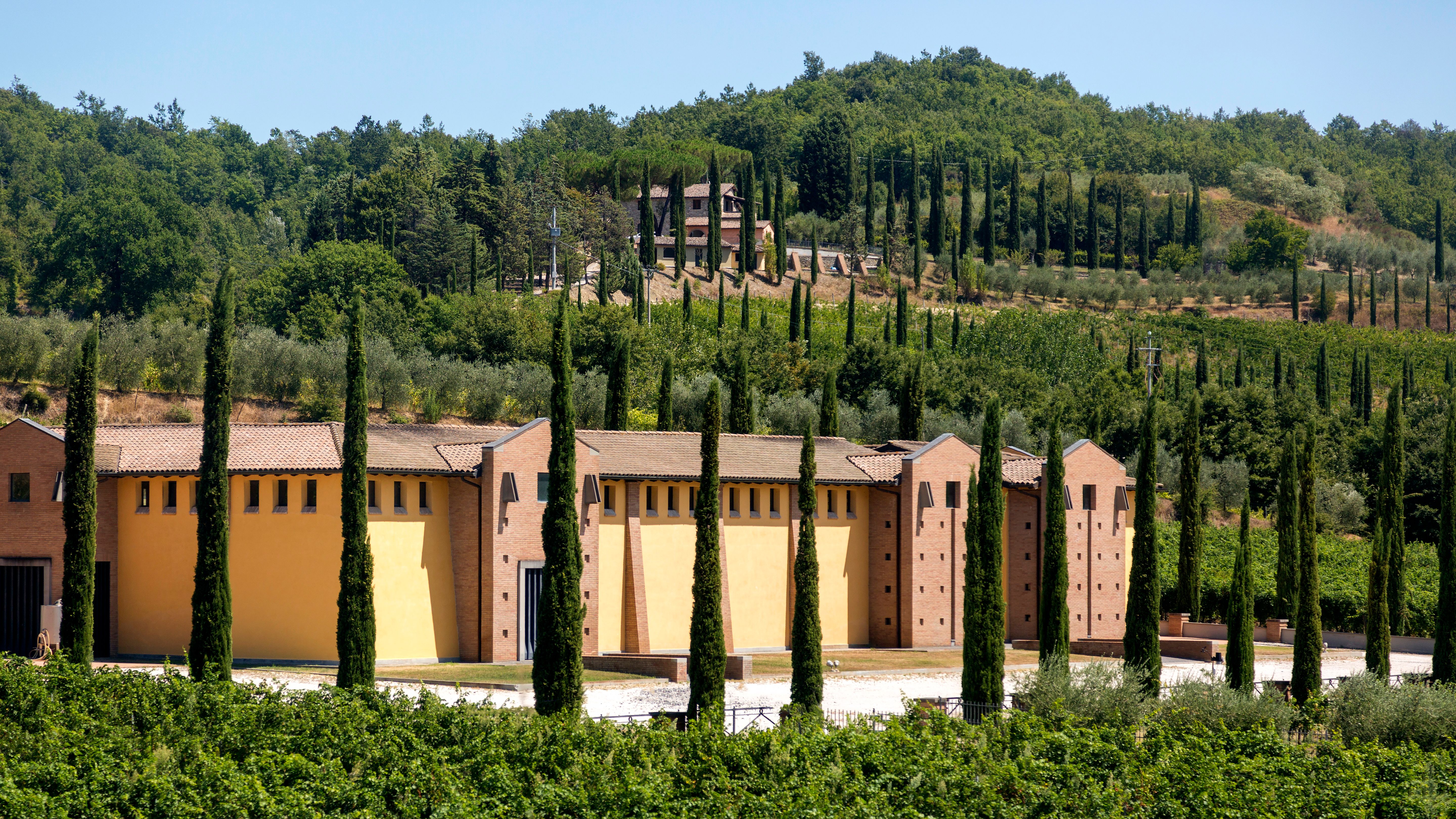 Scenic view of Tuscan vineyard with cypress trees and hillside building.