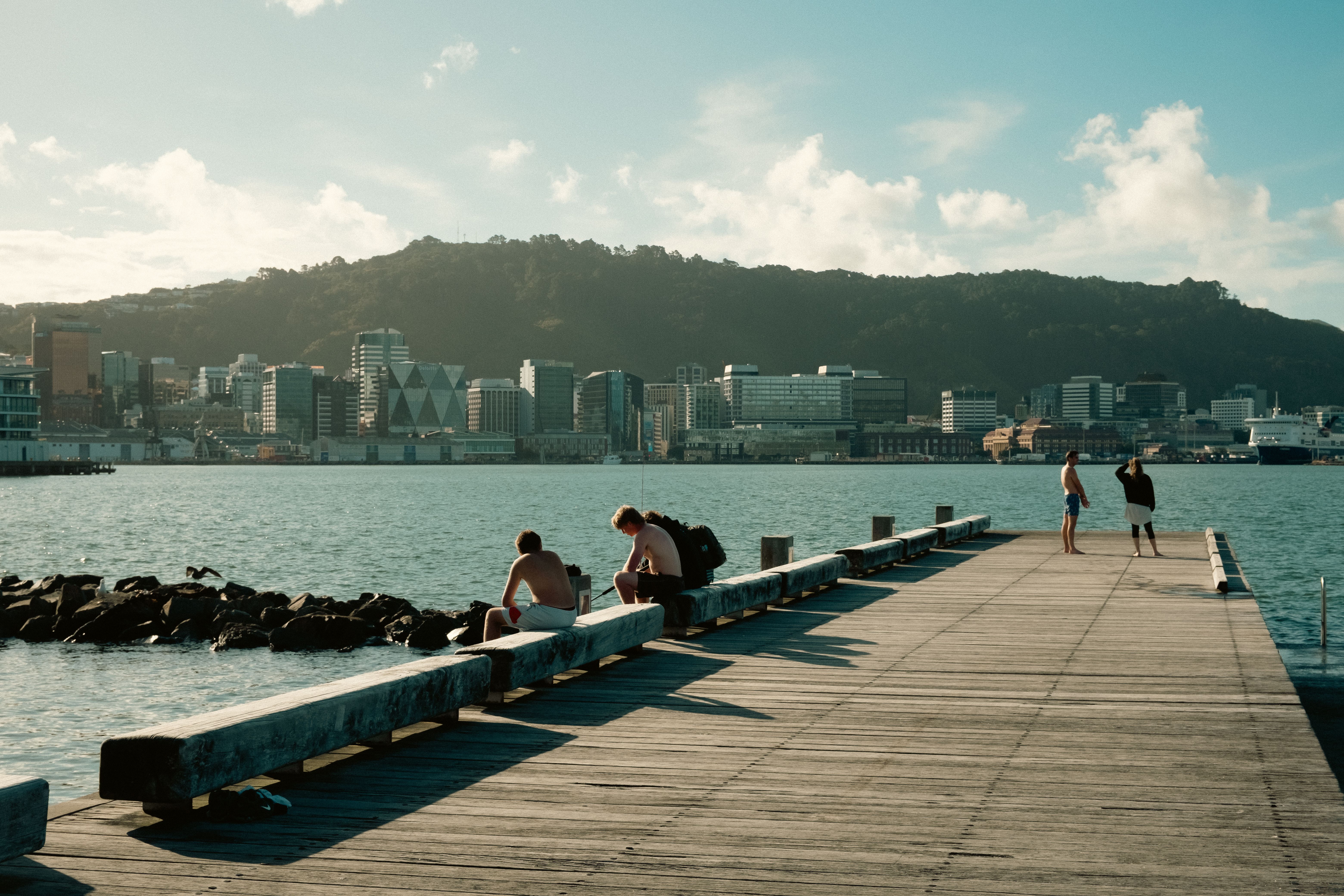 wellington new zealand te papa tongarewa museum waterfront maori