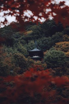 一座传统的日式宝塔，周围环绕着色彩斑斓的秋叶，红绿交织，美不胜收。 - 相关推荐