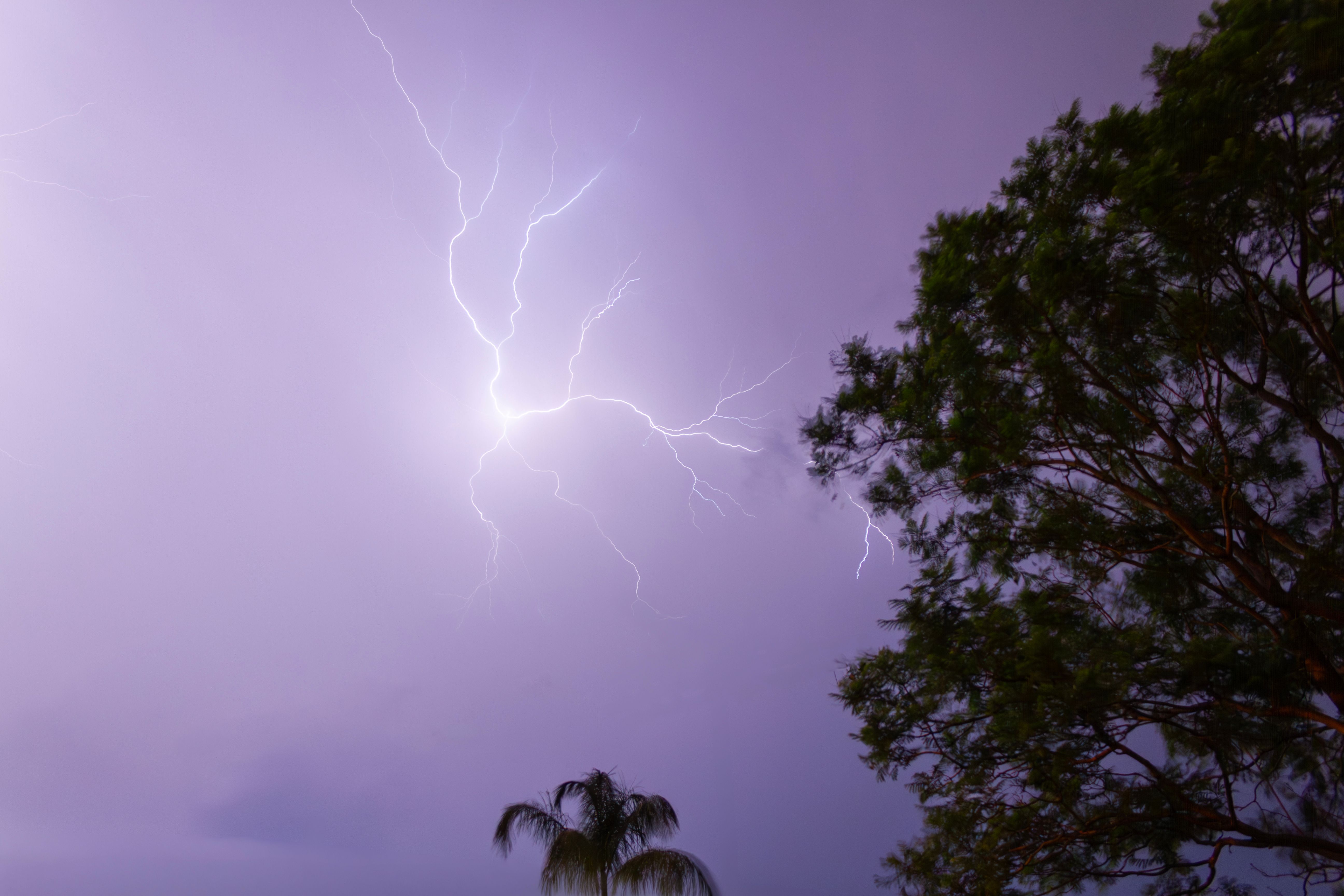 Foto: Stuart  Robinson / Pexels