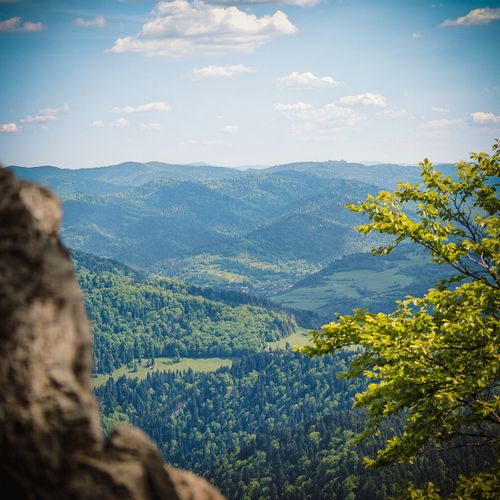Free Beautiful green mountainous landscape in Červený Kláštor, Slovakia, captured on a sunny day. Stock Photo