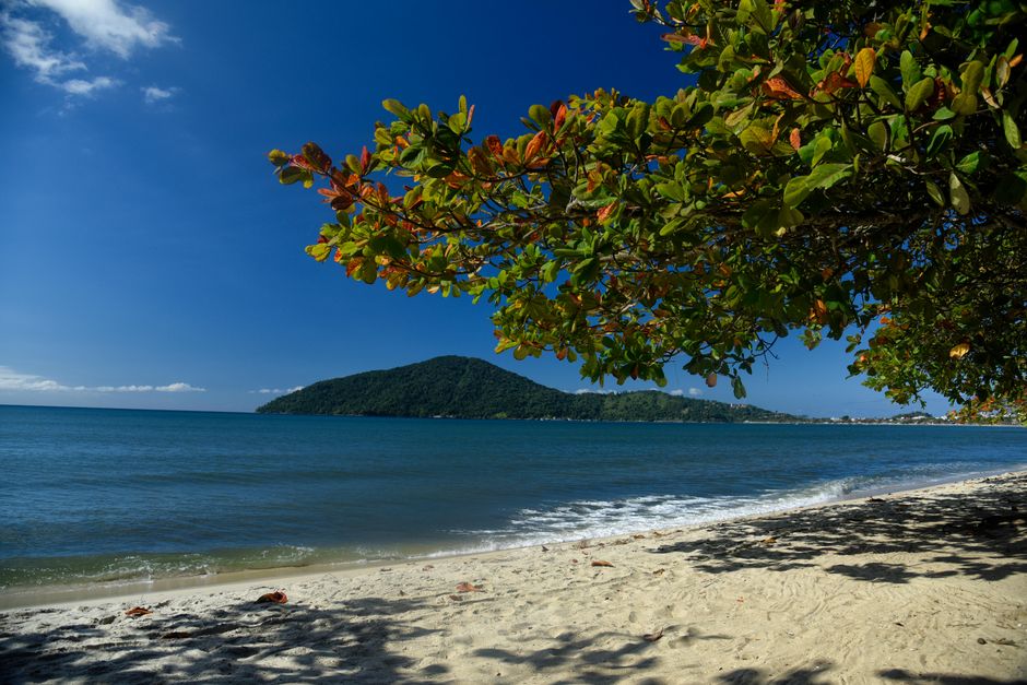 praias mais bonitas do brasil ubatuba