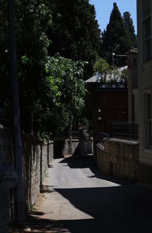 Free A serene alleyway shaded by trees, capturing urban tranquility and solitude. Stock Photo
