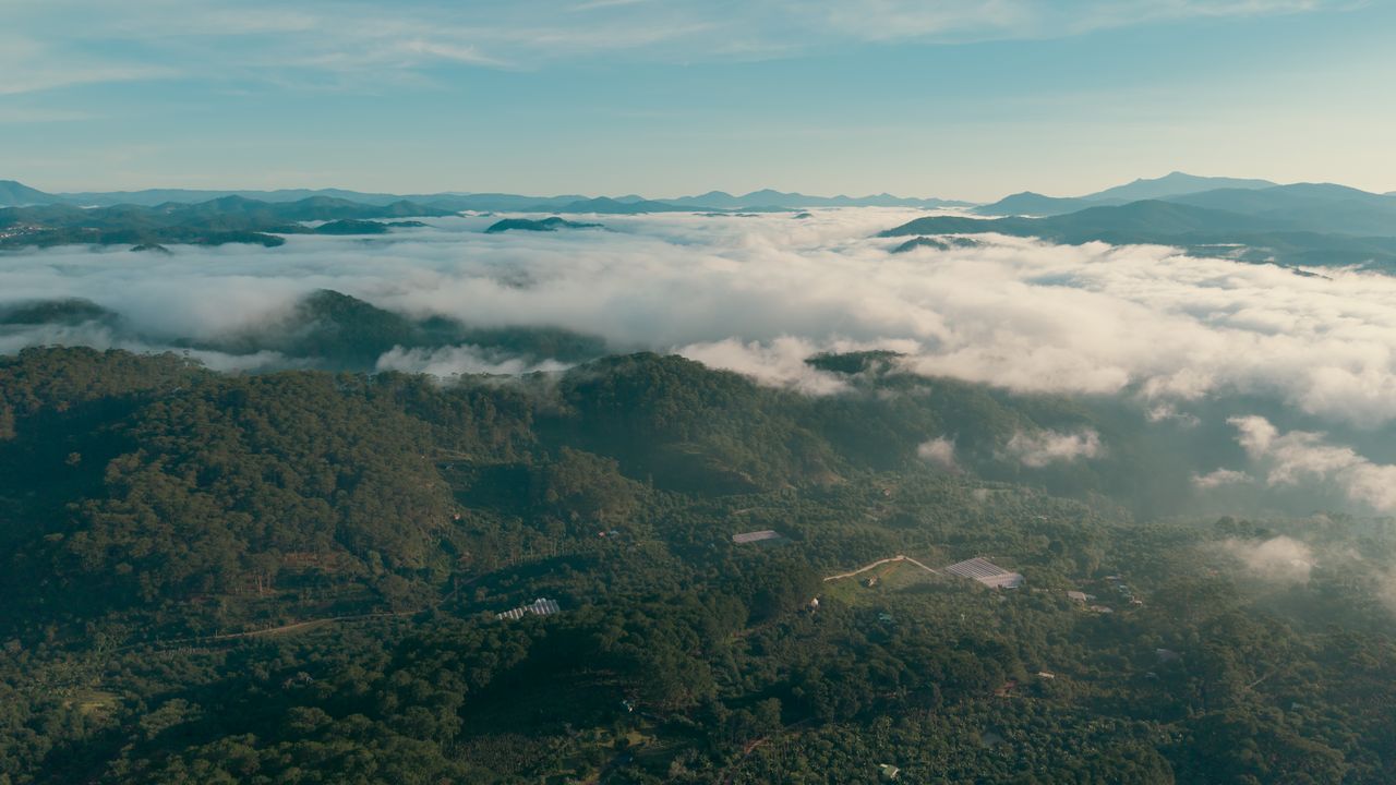 stunning aerial view of mist covered mountains and lush forests stretc