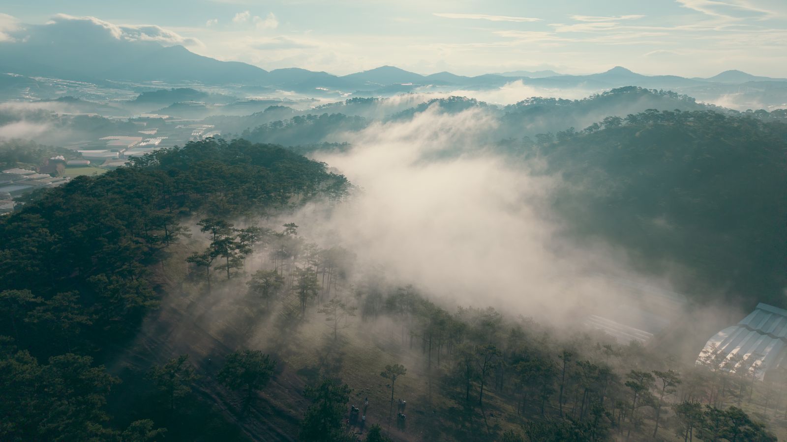Forested hills under low drifting mist at first light — photo by Phi Long on Pexels