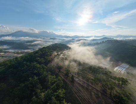 A breathtaking aerial view of mist-covered mountains and lush forests at sunrise in Vietnam, showcasing nature's serenity.