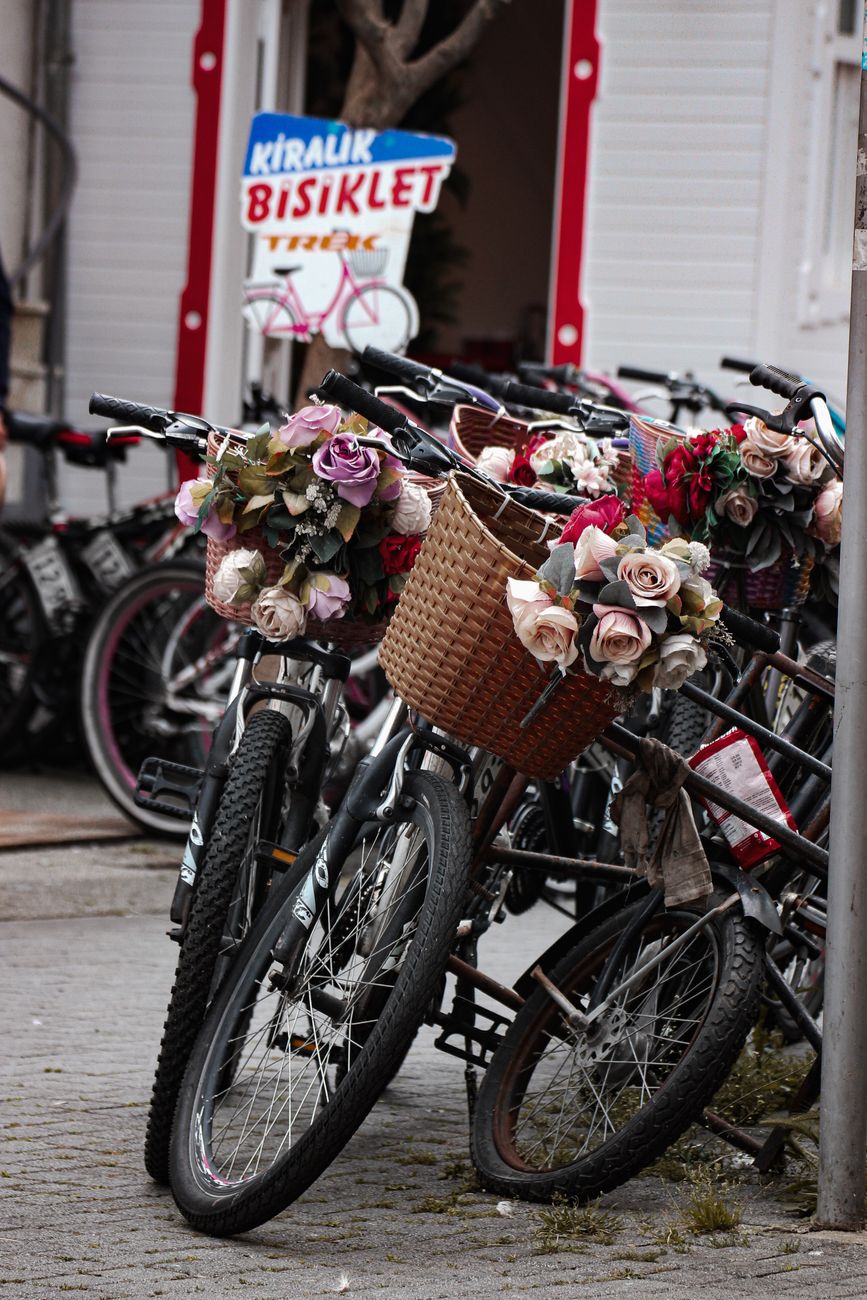 A week of groceries without the car