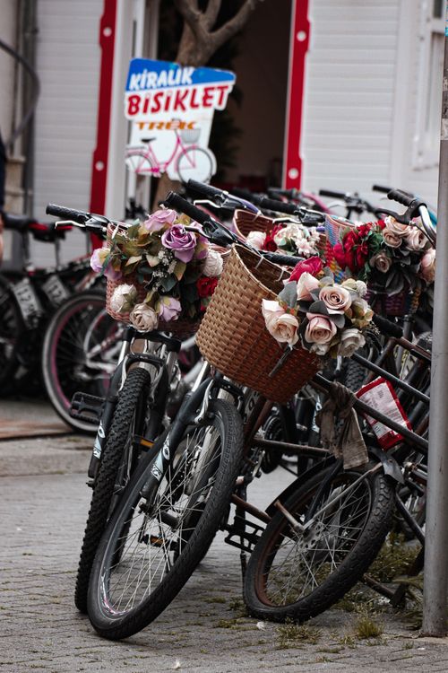 Free Charming bicycles with flower-adorned baskets outside a rental shop, evoking a vintage atmosphere. Stock Photo