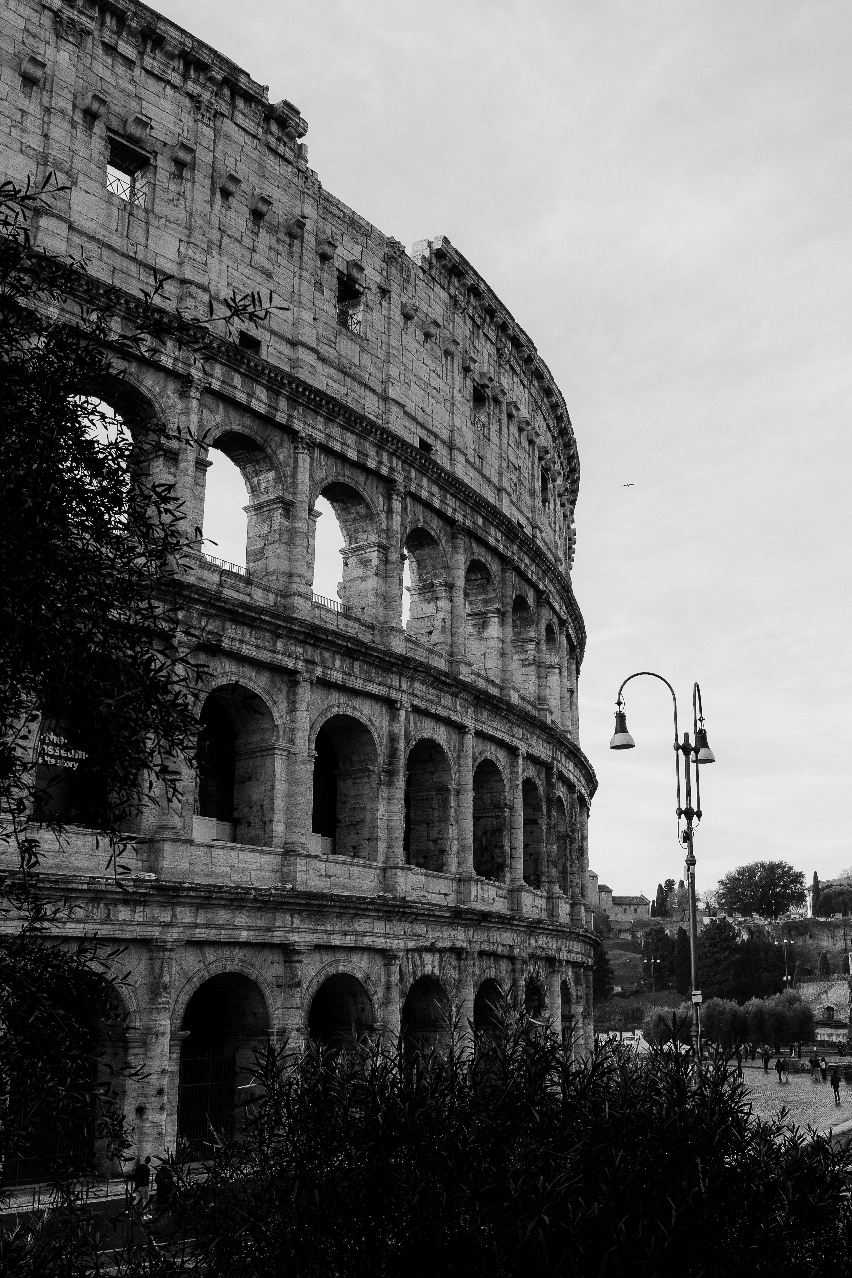 Black and white image of the Roman Colosseum in Rome, Italy, showcasing its architectural grandeur.