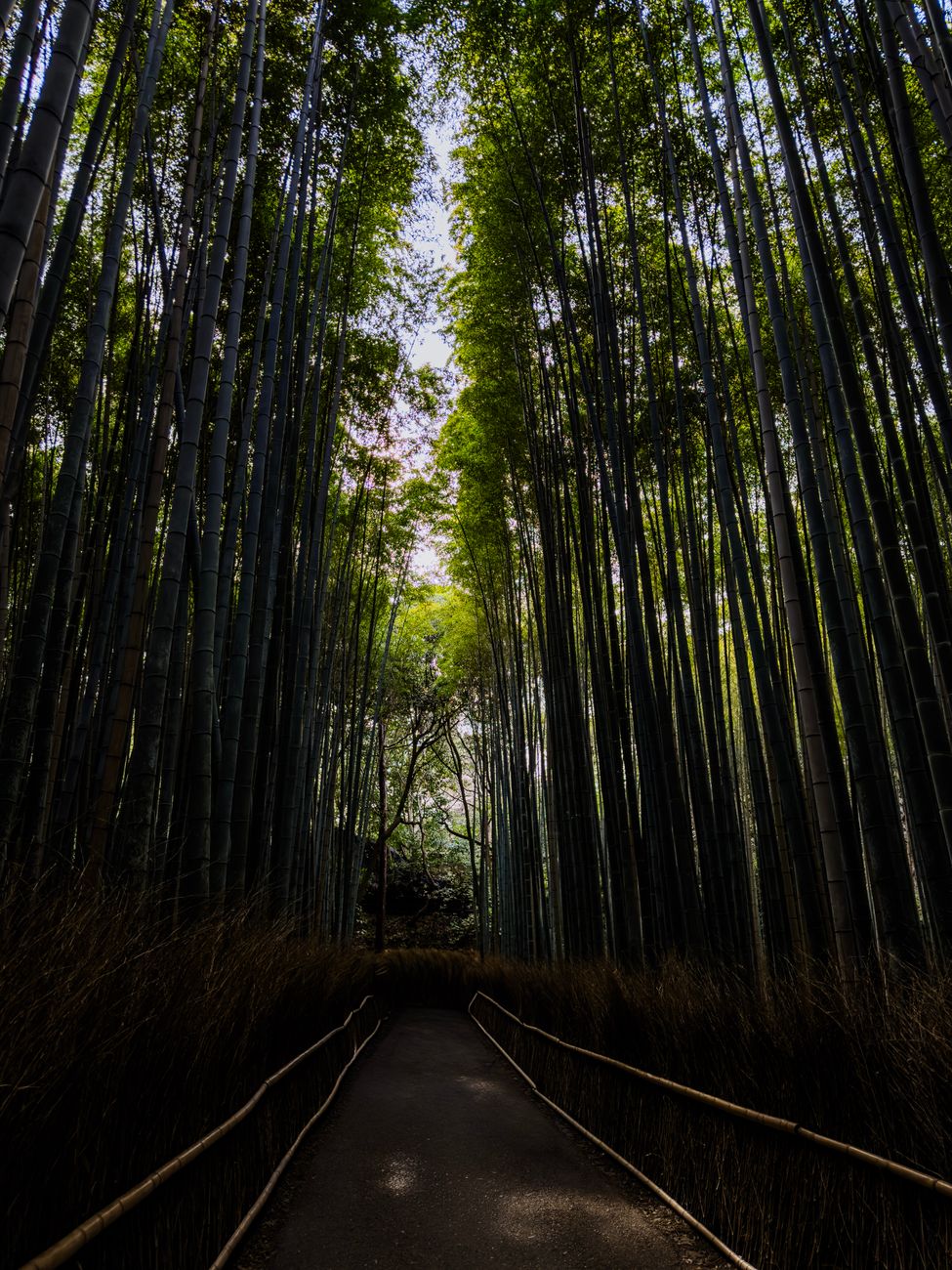 Prächtiges Friedlich – Anime-Stil Hintergrundbild