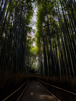 Prächtiges Friedlich – Anime-Stil Hintergrundbild