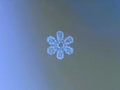 Intricate snowflake captured in a crisp macro shot showcasing geometric symmetry.