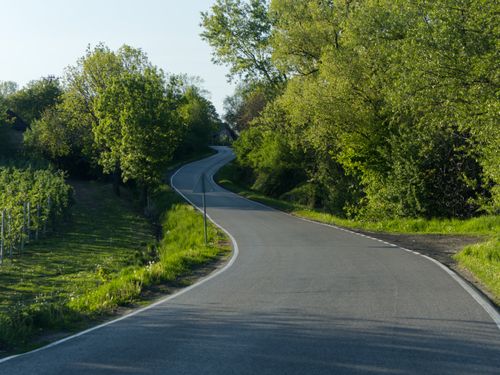 Free Winding rural road surrounded by vibrant green trees in spring, perfect for peaceful travel imagery. Stock Photo