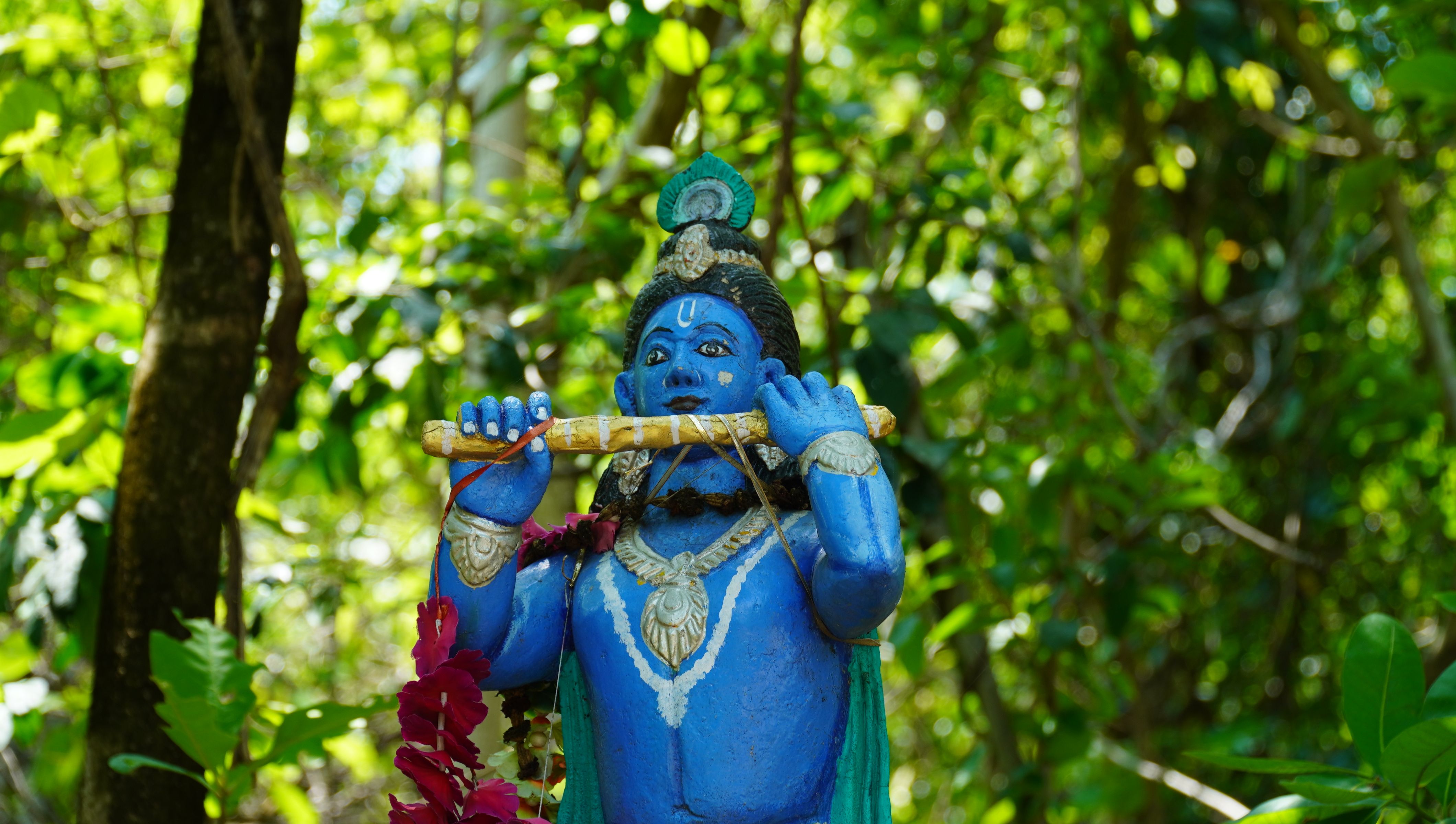 ভগবান শ্রীকৃষ্ণের বাণী ক্যাপশন